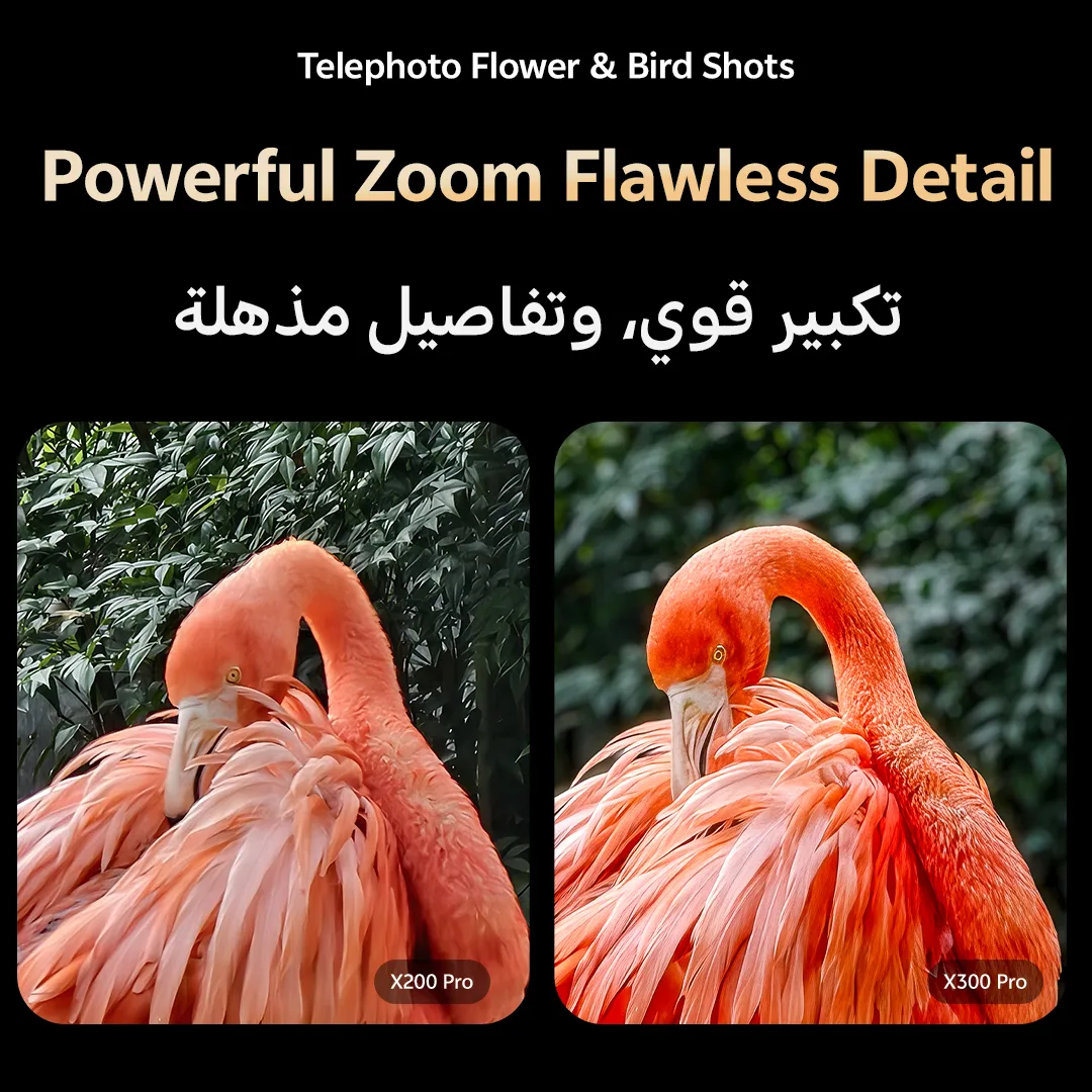 vivo X300 Pro 16GB+512GB  vivo TWS+ Magnetic Case Dune Brown_10